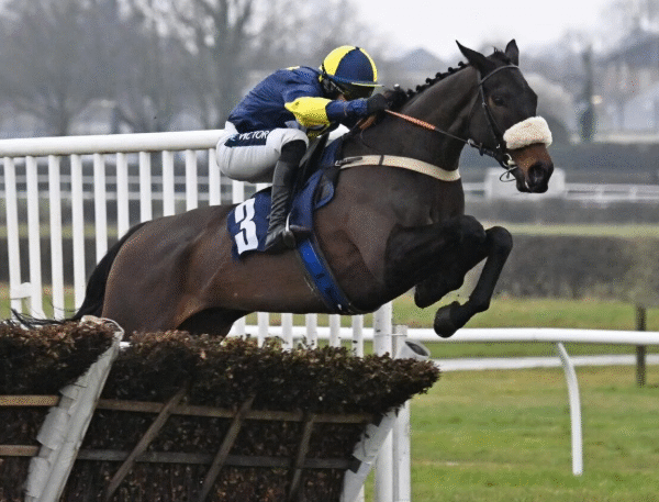 Gift Ideas for Every Horse Racing Fan