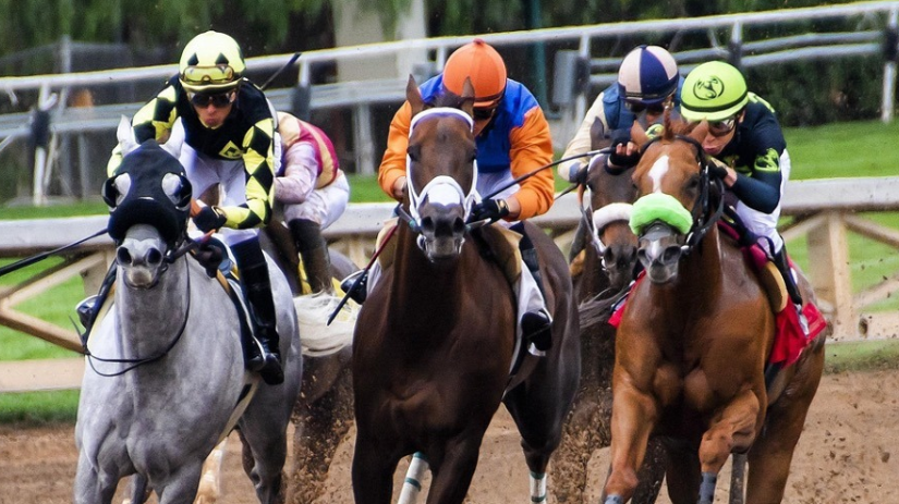 Hall of Fame Racehorses You Should Know