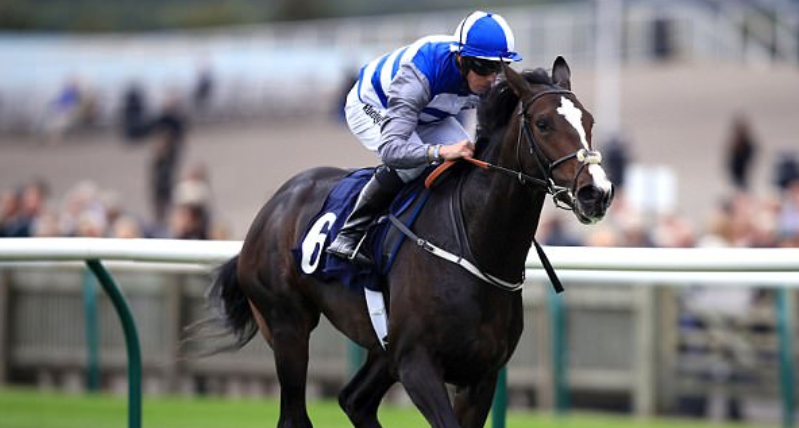 Genetic Surprises in Famous Racehorses