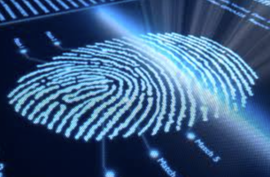 The Rise of Digital Identity Systems